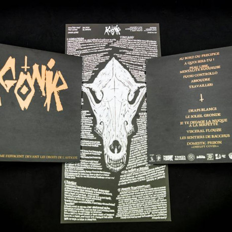 AGONIR - s/t 12" AGONIR - s/t 12"