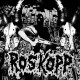 ROSKOPP // DOUBLED OVER split 7"